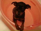 Фотография Трофимовой Светланы