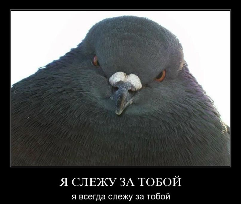 Семен Ткачев фотография #49