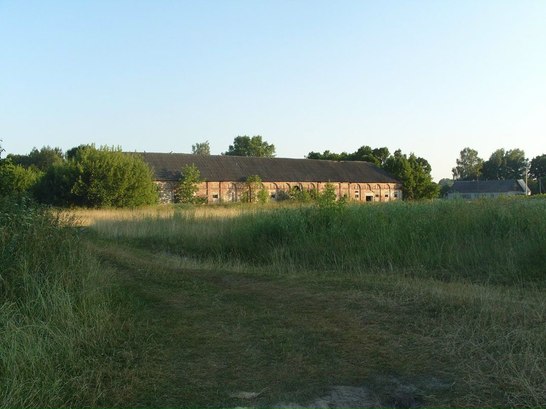 Дмитрий Пызин фотография #33