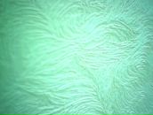 Іван Попович фотография #9 (источник - https://vk.com/id114307623)