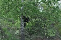 Андрій Ключник фотография #23 (источник - https://vk.com/id3632440)