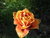 Віктор Бевза фотография #6 (источник - https://vk.com/id71881935)