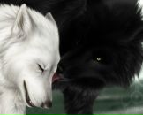 Фотография Спиридонова Евгения