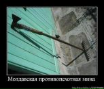 Андрій Петрович фотография #13 (источник - https://vk.com/id54547535)