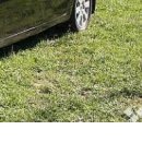 Віталій Базилян фотография #1