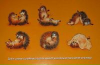 Secured Secured фотография #2 (источник - https://vk.com/id4428325)