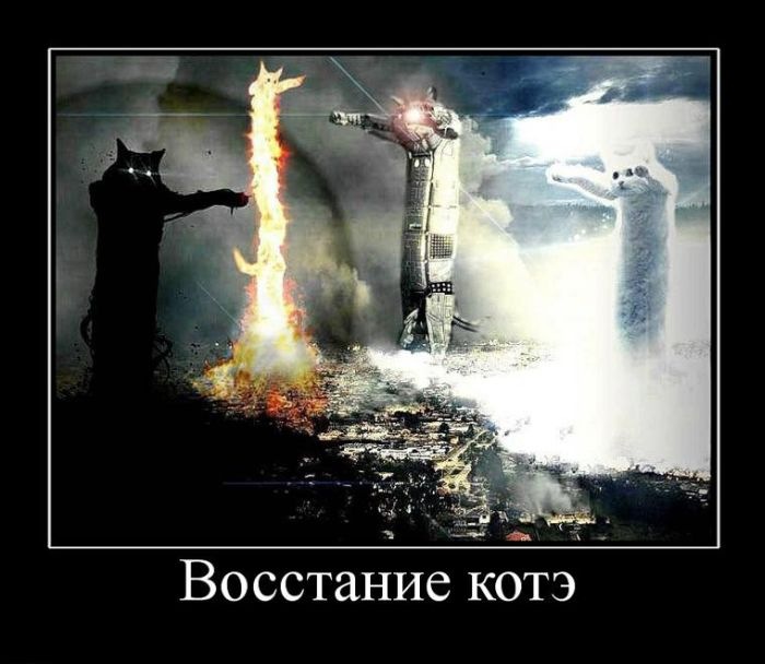 Саша Феолетов фотография #39
