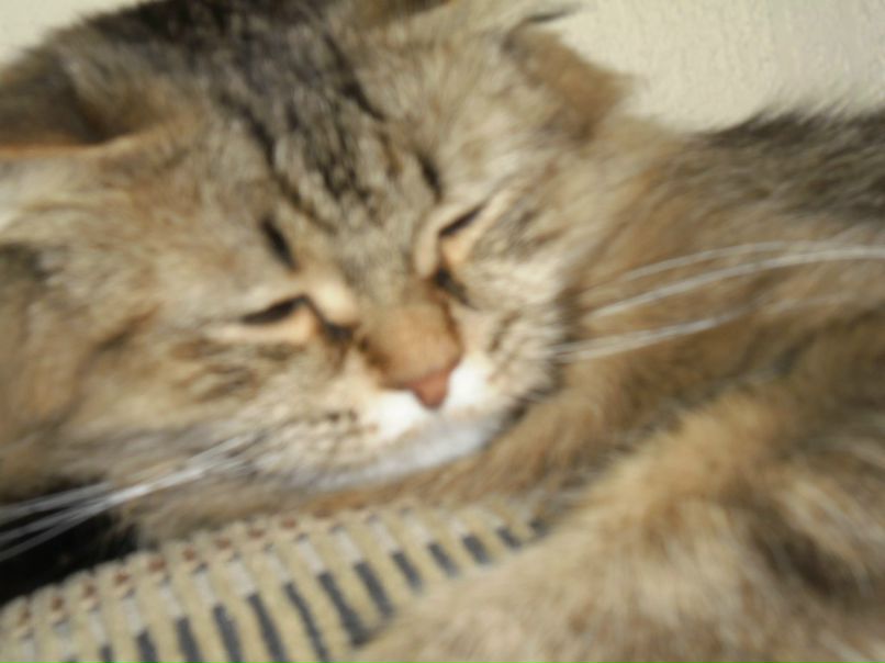 Женя Дмитриев фотография #28