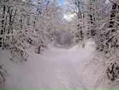 Іван Коваль фотография #18 (источник - https://vk.com/id50934328)