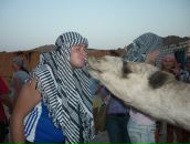 Евгений Халиков фотография #29 (источник - https://vk.com/id988573)