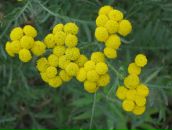 Фотография Дядюнов Артём