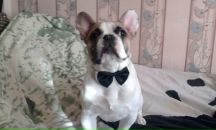 Фотография Рыжко Ольги