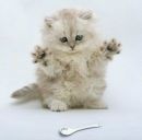 Галина Різак фотография #37 (источник - https://vk.com/id148228174)