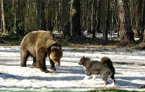 Святослав Іваневич фотография #39 (источник - https://vk.com/id307432029)