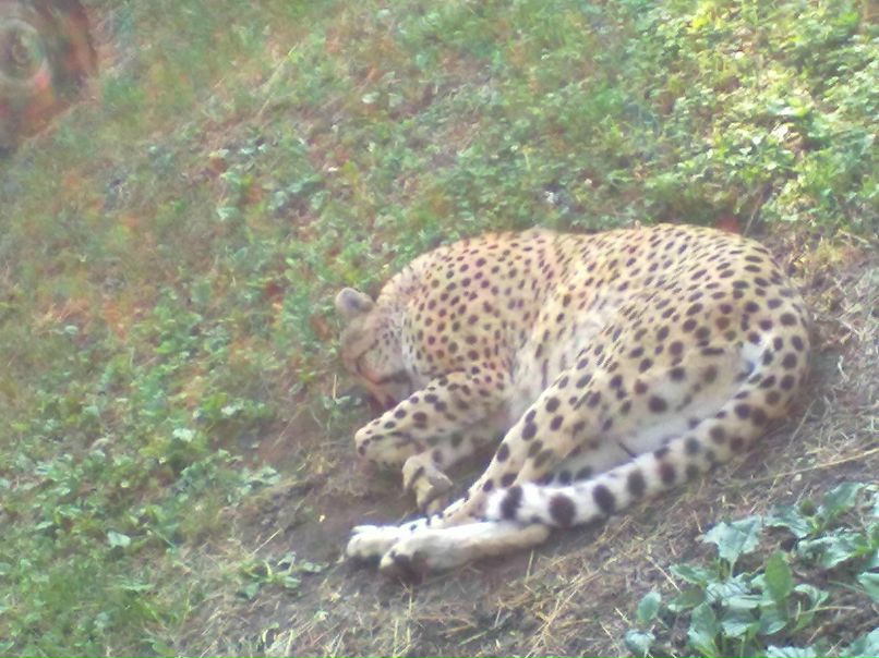 Виктор Прохоров фотография #50