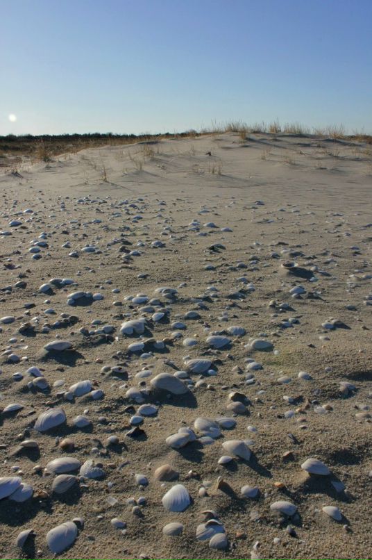 Глеб Петров фотография #23