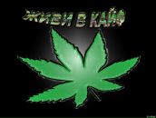 Фотография Варульниковой Елены