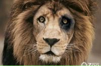 Фотография Нечаева Макса