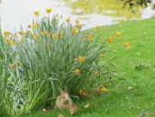 Анастасія Головська фотография #38 (источник - https://vk.com/id6246545)