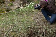 Фотография Варшавского Ивана